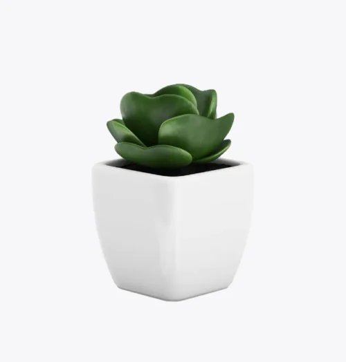 product-image-9_optimized Sollicitudin Aliquam