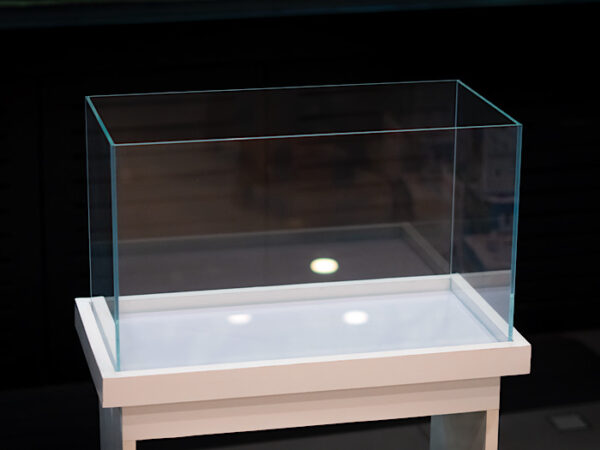 princeaquarium_ultra_clear_tank01 Ultra Clear Tank 2 Feet (L*W*H = 60 * 35 *40 cms)